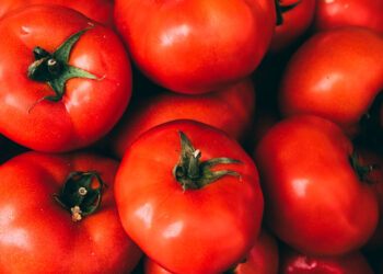 Producir nuestros propios alimentos
