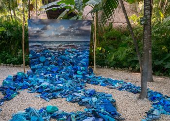 Arte a partir de la basura como forma de generar conciencia