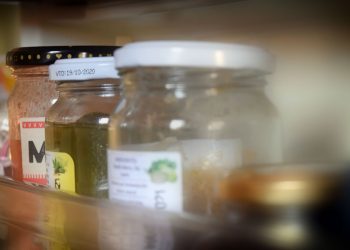 Ideas para reducir el desperdicio de comida