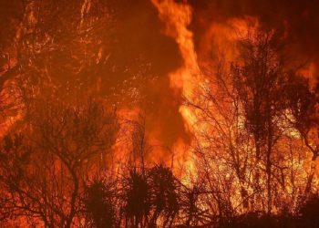 Presentan un proyecto para poner fin a los incendios intencionales