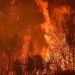 Presentan un proyecto para poner fin a los incendios intencionales