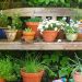 La jardinería ayuda a elevar el nivel de bienestar