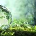 Garnier presentó su programa Sustentable Green Beauty