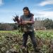 Agroecología: otra oportunidad de cuidar la salud y el ambiente