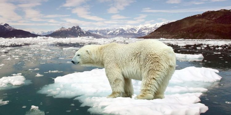 Alerta ambiental: calentamiento, pérdida de biodiversidad y contaminación
