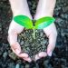 Avanza la Ley de Educación Ambiental Integral