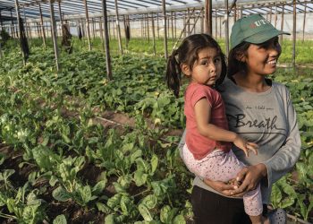 Día del Medio Ambiente: ante el cambio climático, cambio de modelo
