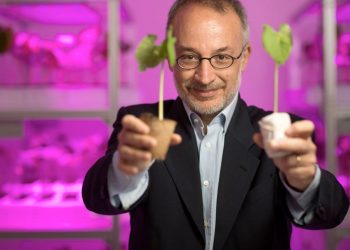 “Como especie, los sapiens somos mucho más estúpidos que las plantas”