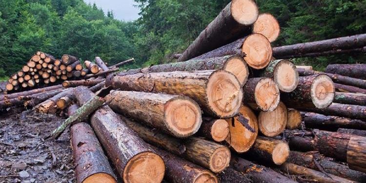 Argentina entró en default ambiental