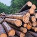 Argentina entró en default ambiental