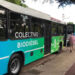 ¿Por qué no avanzan los colectivos ecológicos en las calles porteñas?