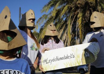 #Encarpinchate: marcha de ecologistas en reclamo por la ley de humedales