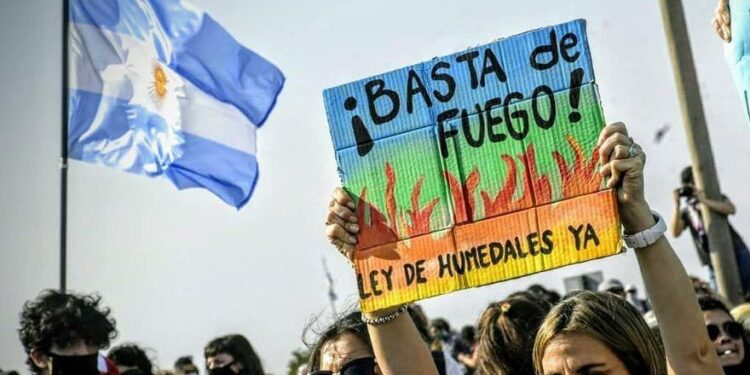 Todo lo ambiental es político