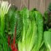 verduras
