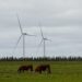 Uruguay y su camino hacia una economía baja en carbono