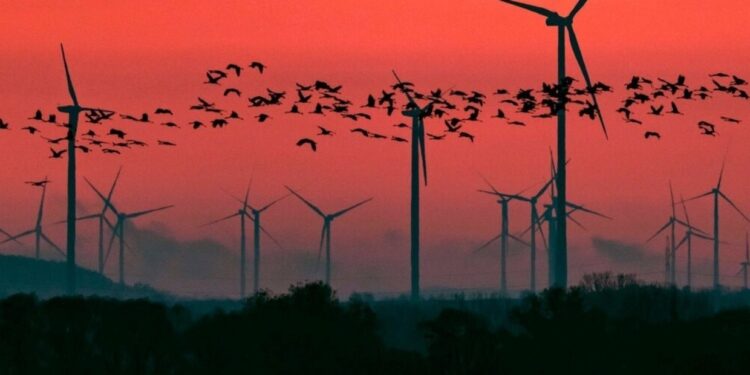 Un punto ciego en nuestra respuesta al cambio climático