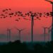 Un punto ciego en nuestra respuesta al cambio climático