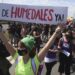 Se vuelve a intentar la sanción de una Ley de Humedales