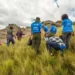Compromiso para reforestar zonas devastadas